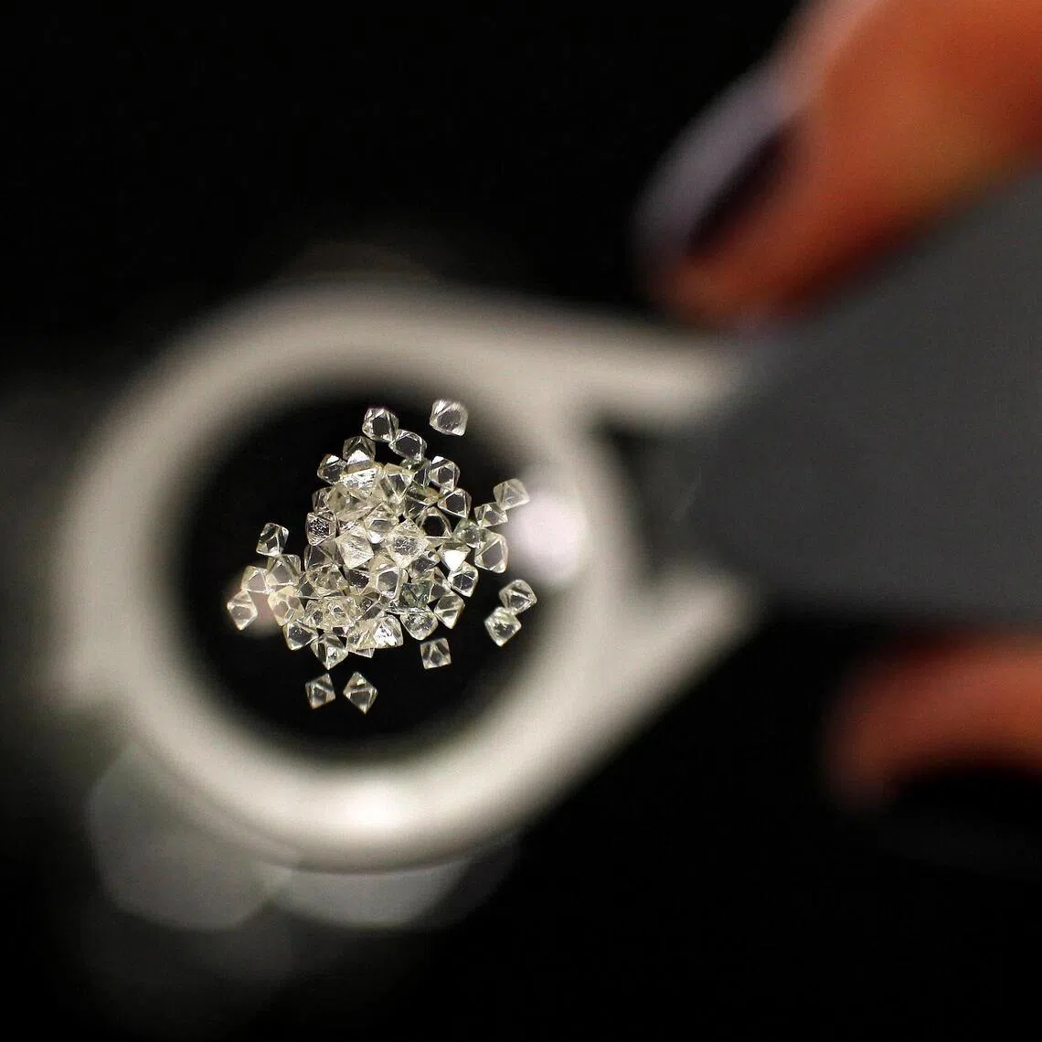 Police have seized 1,239 diamonds in the investigation so far.
