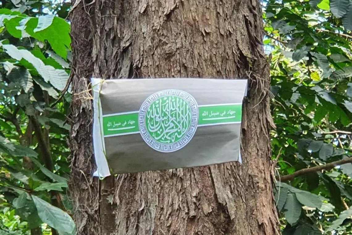A caliphate flag pinned to a tree in Coney Island by radicalised teenager Muhammad Irfan Danyal Mohamad Nor.