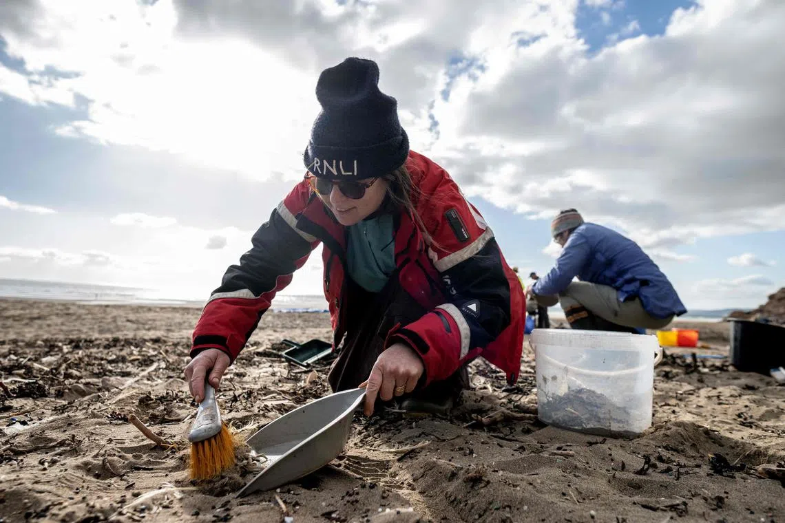 A volunteer uses a brush as she takes part in a beach clean organised to collect nurdles and other plastic waste on the Tregantle beach part of the Whitesand Bay, near Freathy, south western England.