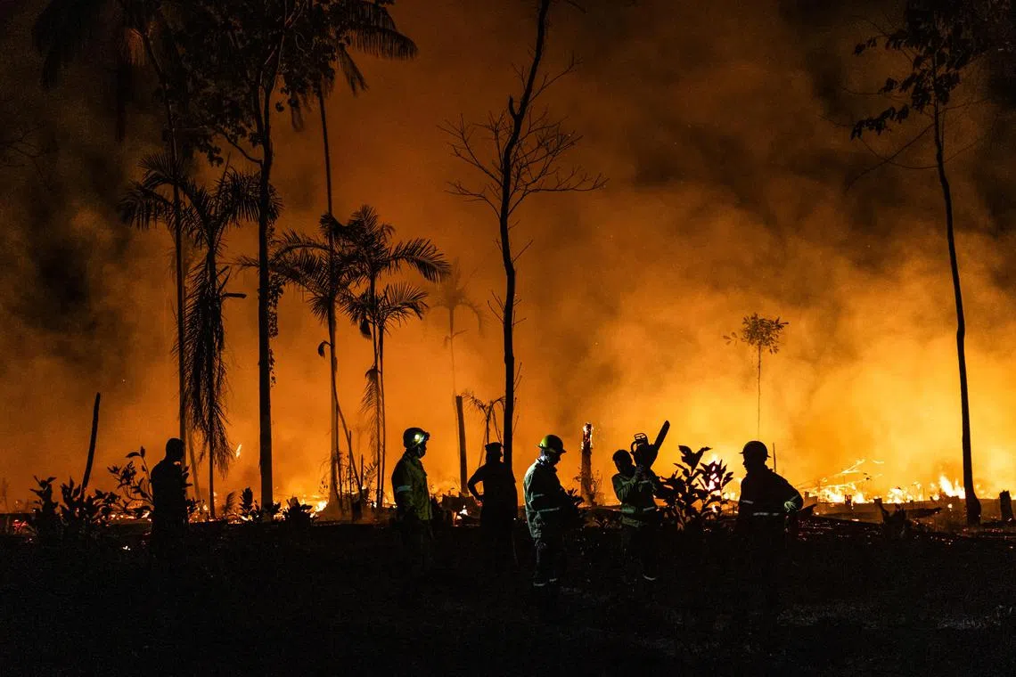 epa10932771 Workers from PrevFogo, the forest fire extinguishing program of the Brazilian Institute of Environment (IBAMA) and ICMbio (Chico Mendes Institute), work to contain a fire in a green area of BR-319, in the municipality of Careiro, Amazonas, Brazil, 21 October 2023 (issued 22 October 2023). A large number of fires occur along the highway during the dry season. This year, the State of Amazonas broke the record for fires in the months of September and October since monitoring has been recorded.  EPA-EFE/Raphael Alves