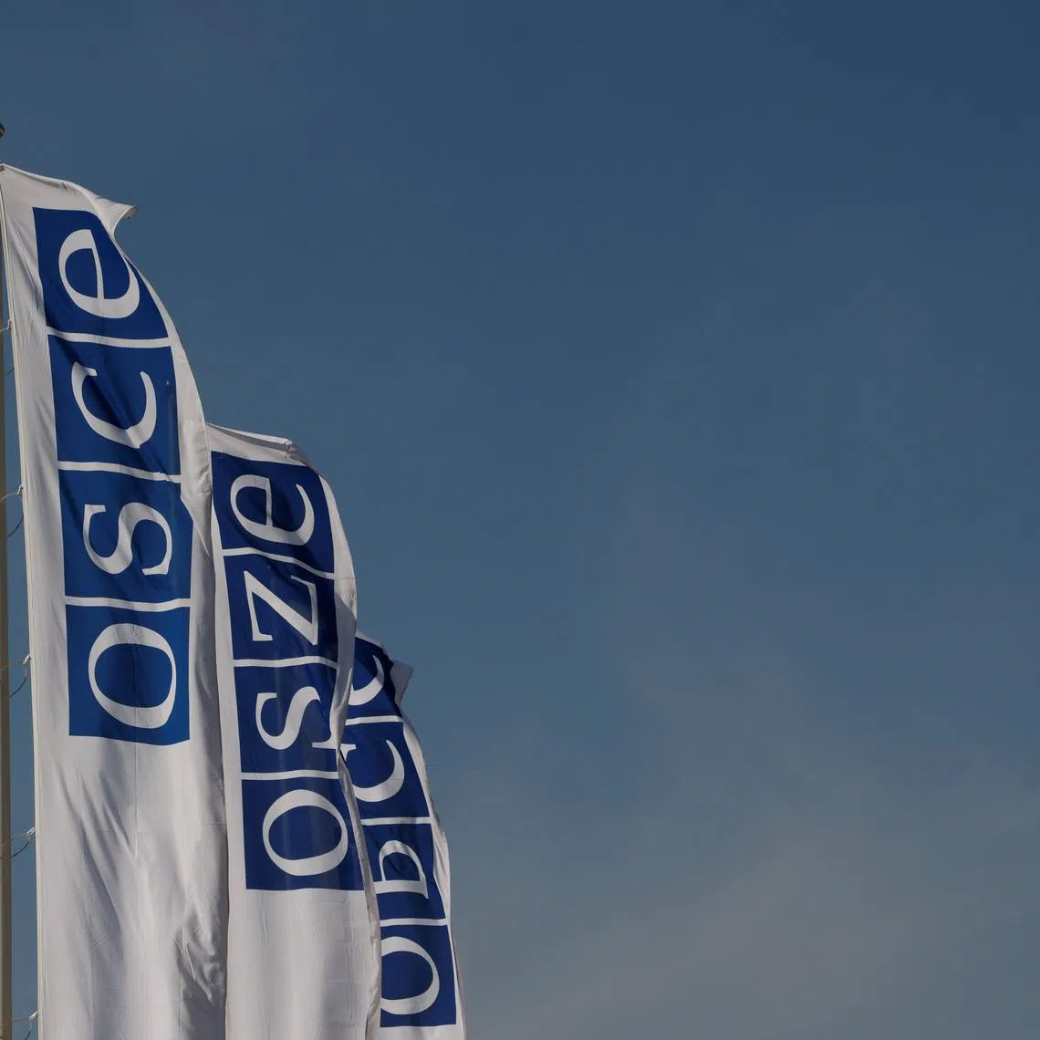 Flags of the Organisation for Security and Cooperation in Europe (OSCE) are pictured outside their headquarters in Vienna, Austria February 15, 2022. REUTERS/Leonhard Foeger
