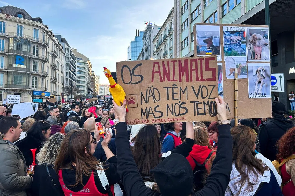 People demonstrate in Lisbon, Portugal, for animals to be protected under the law.