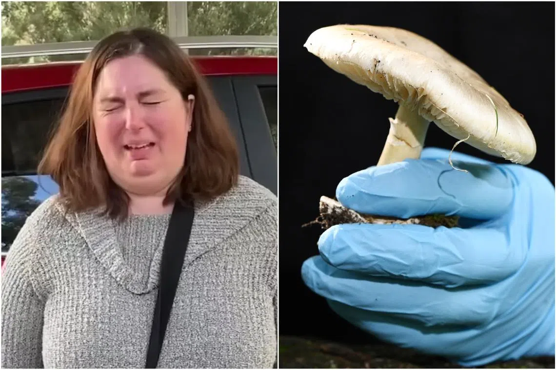 Police believe the dish, which was cooked by Ms Erin Patterson (left), was tainted with death cap mushrooms.