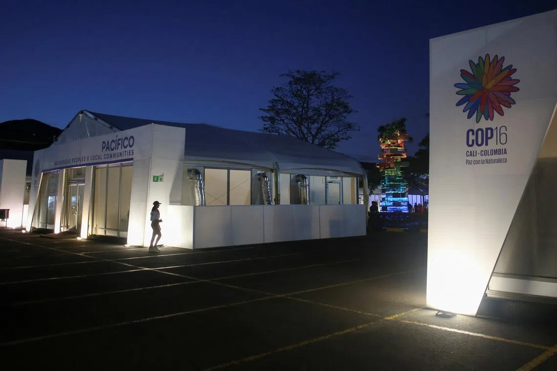 FILE PHOTO: A person walks through the Valle del Pacifico event center, ahead of the 16th United Nations Biodiversity Summit (COP16), in Cali, Colombia October 20, 2024. REUTERS/Juan David Duque/File Photo
