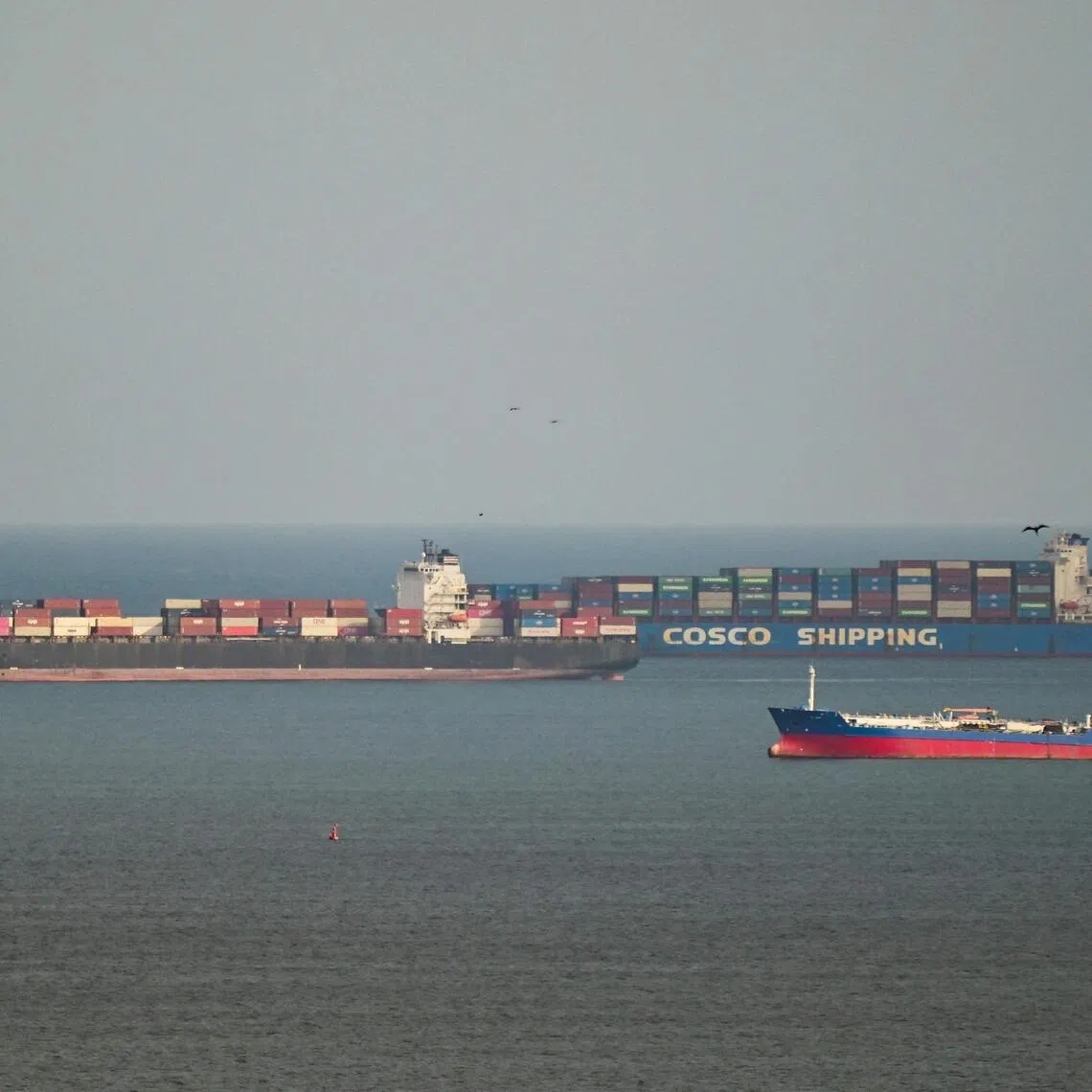 A cargo ship from the Chinese shipping company COSCO (Top-R) waits to transit the Panama Canal on the Pacific side, in Panama City on March 13, 2026. On March 13, the Panamanian government asked the Chinese shipping company Cosco to reconsider its decision to cease operations at a port on the Panama Canal, whose concession to the Hong Kong-based company CK Hutchison Holdings had been revoked by the Panamanian courts. (Photo by MARTIN BERNETTI / AFP)