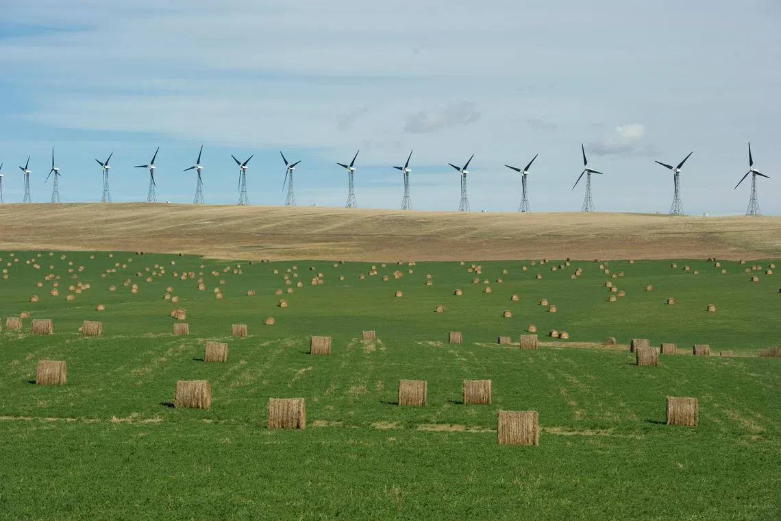 FILE PHOTO: A wind farm generates electricity near bales of hay in the foothills of the Rocky Mountains near the town of Pincher Creek, Alberta September 27, 2010. The non-polluting source of renewable energy is fed into the provincial electrical grid that powers Southern Alberta industries and residences. REUTERS/Todd Korol (CANADA - Tags: ENVIRONMENT BUSINESS ENERGY IMAGES OF THE DAY)   BEST QUALITY AVAILABLE/File Photo/File Photo