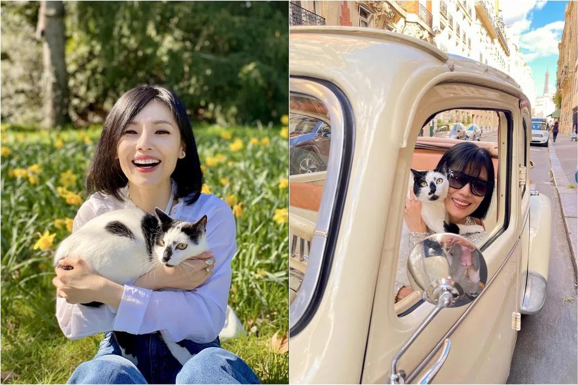 Local actress-host Sharon Au and her five-year-old cat Rudon in Paris.
