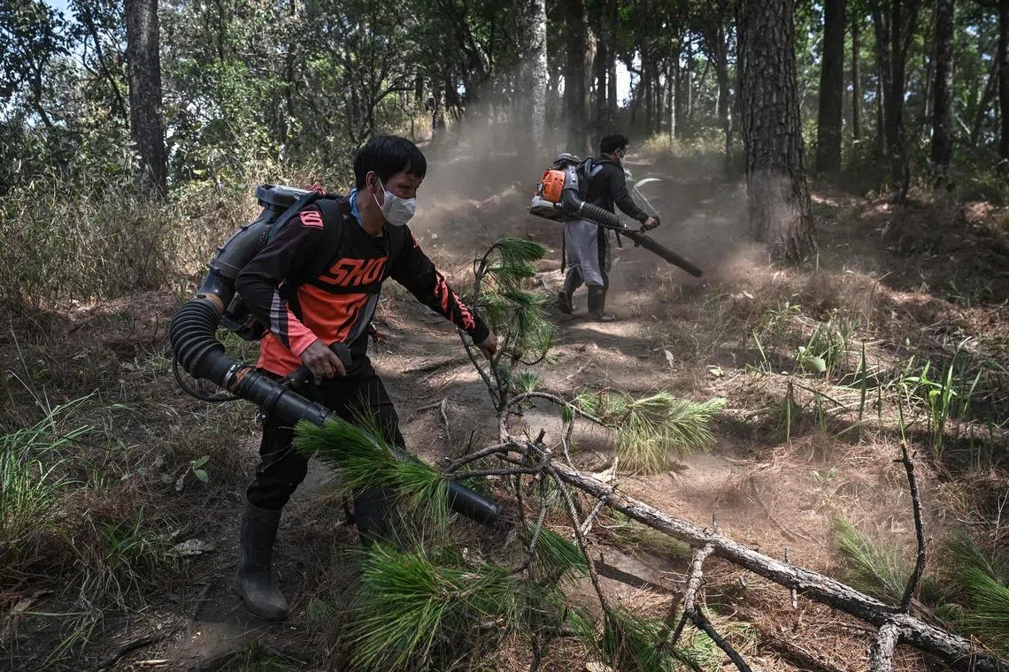 Volunteer firefighters from Hmong Doi Pui village using leaf blowers to clear a firebreak in the Doi Suthep-Pui National Park area of Chiang Mai on March 16.