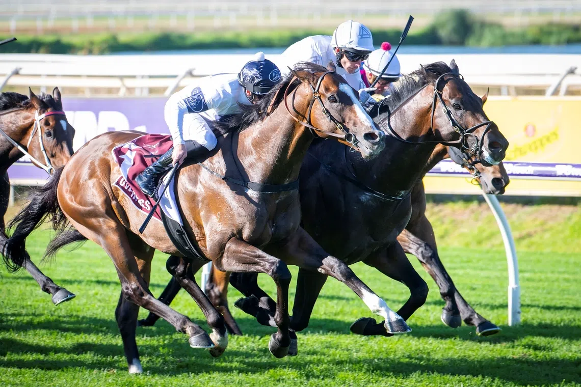 Sydney visitor Libertad (Jamie Mott, grey cap) has flown under the radar of most in Perth, but snuck up on the inside to soar to the highest level in the Group 1 Winterbottom Stakes (1,200m) at Ascot on Nov 29 when upstaging crowd favourite and fellow Sydneysider Overpass (Josh Parr, blue cap) by a half-head. 