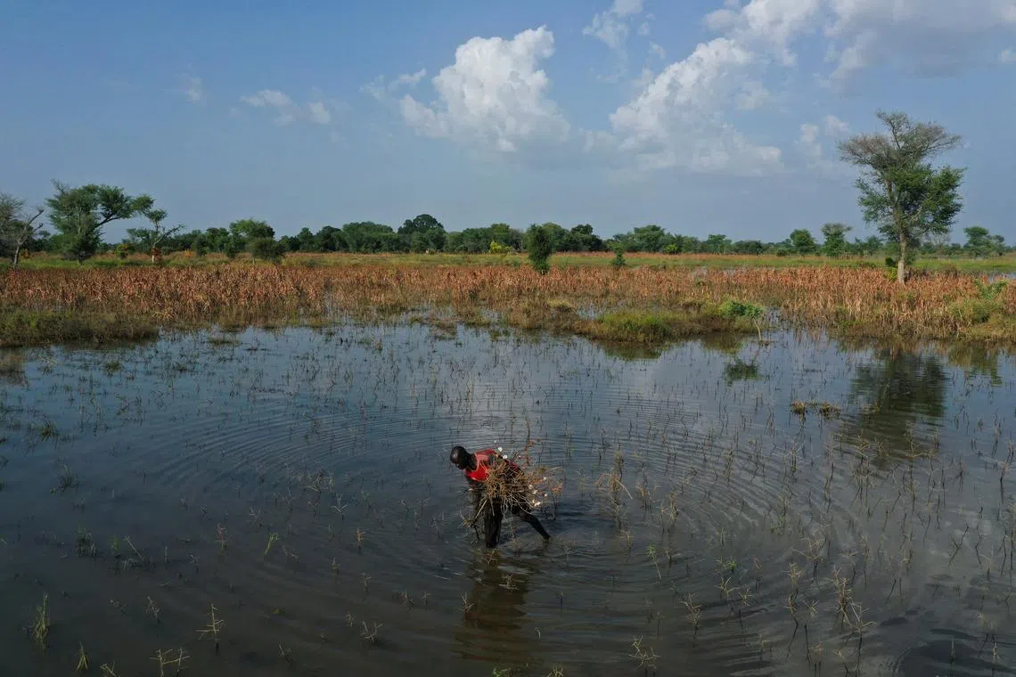 Nearly one million hectares of farmland across the region remains under water.