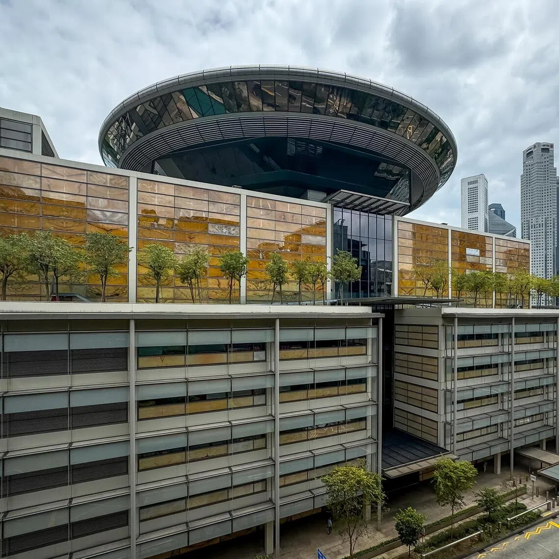 During the trial, Ms Prawesti testified that the family owned vast assets, including 50 other properties, an island, and large estates in Indonesia. 