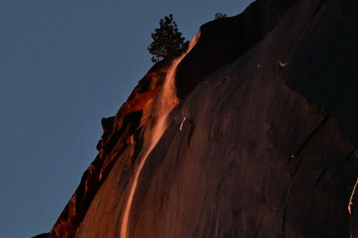 Water flows off Horsetail Fall glows orange while backlit from the setting sun during the "firefall" phenomenon at Yosemite National Park.