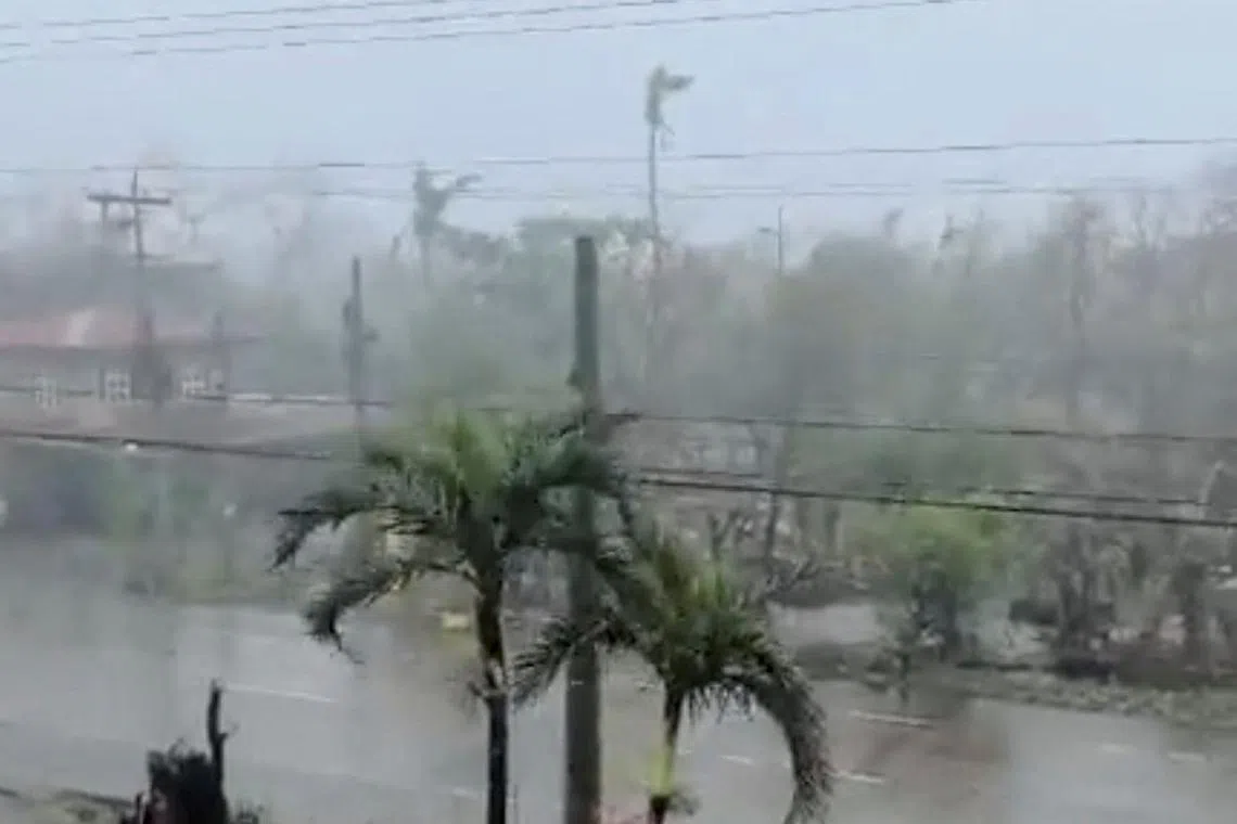 A view of trees blowing due to rain and strong winds, as Typhoon Ofel makes landfall, in Palawig, Santa Ana, Cagayan Province, Philippines, in this screengrab from a social media video shot on November 14, 2024. MARK ANDRES BAGASIN/via REUTERS
