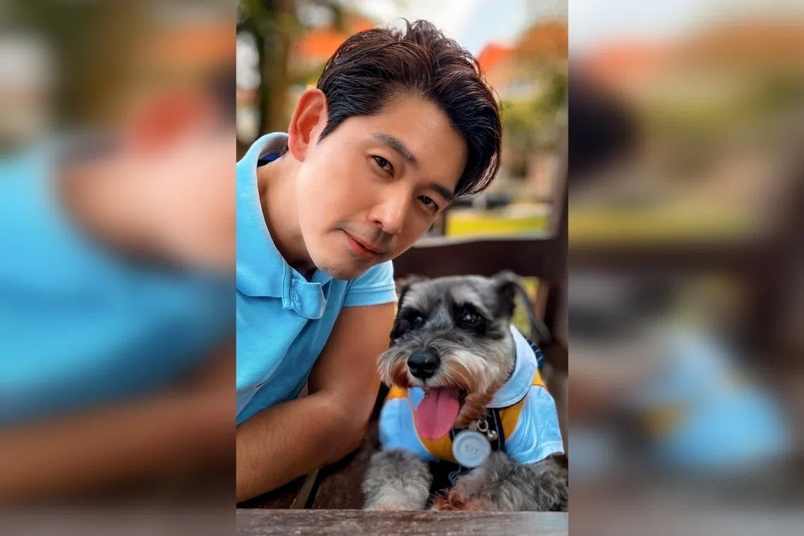 Actor Romeo Tan and Tigger, his 12-year-old female miniature schnauzer.