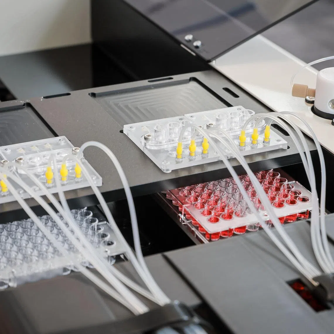 REVIVO BioSystems’ REVex in the ReleGO at a showcase event held at Star Vista, March 2, 2023.