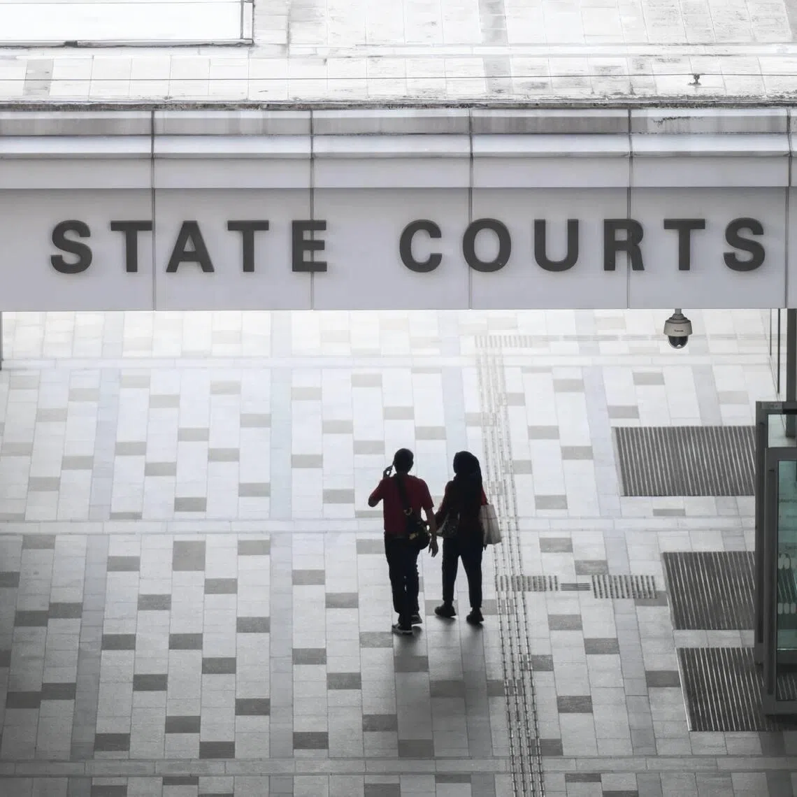 The man pleaded guilty to eight charges for offences including criminal intimidation, cheating, possessing weapons in a public place, and misusing a computer system.