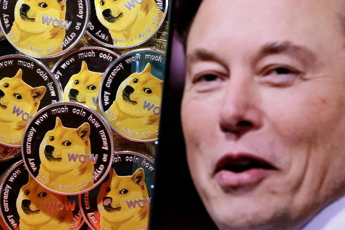 Investors accuse Mr Elon Musk of using "publicity stunts" to manipulate the price of Dogecoin.