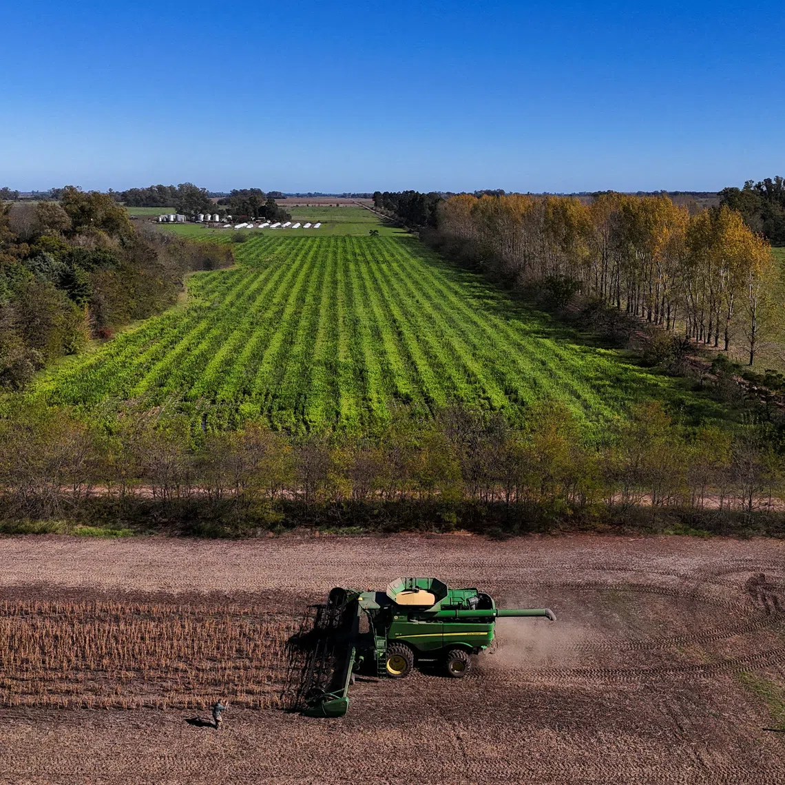 FILE PHOTO: A drone view shows a harvester working in a soybean plantation in San Andres de Giles, on the outskirts of Buenos Aires, Argentina, May 12, 2025. REUTERS/Martin Cossarini/File Photo