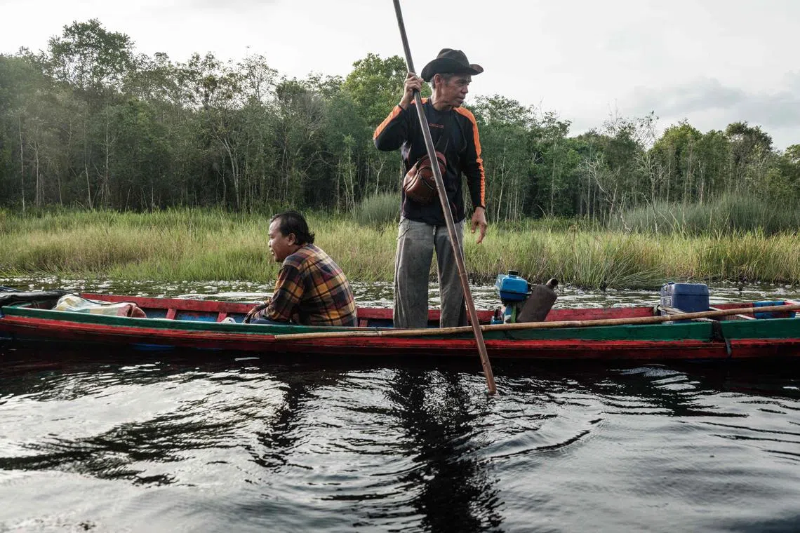 A man poles a boat along a local canal built to navigate through the peatland forest in Lebung Itam, South Sumatra, on June 11, 2025.