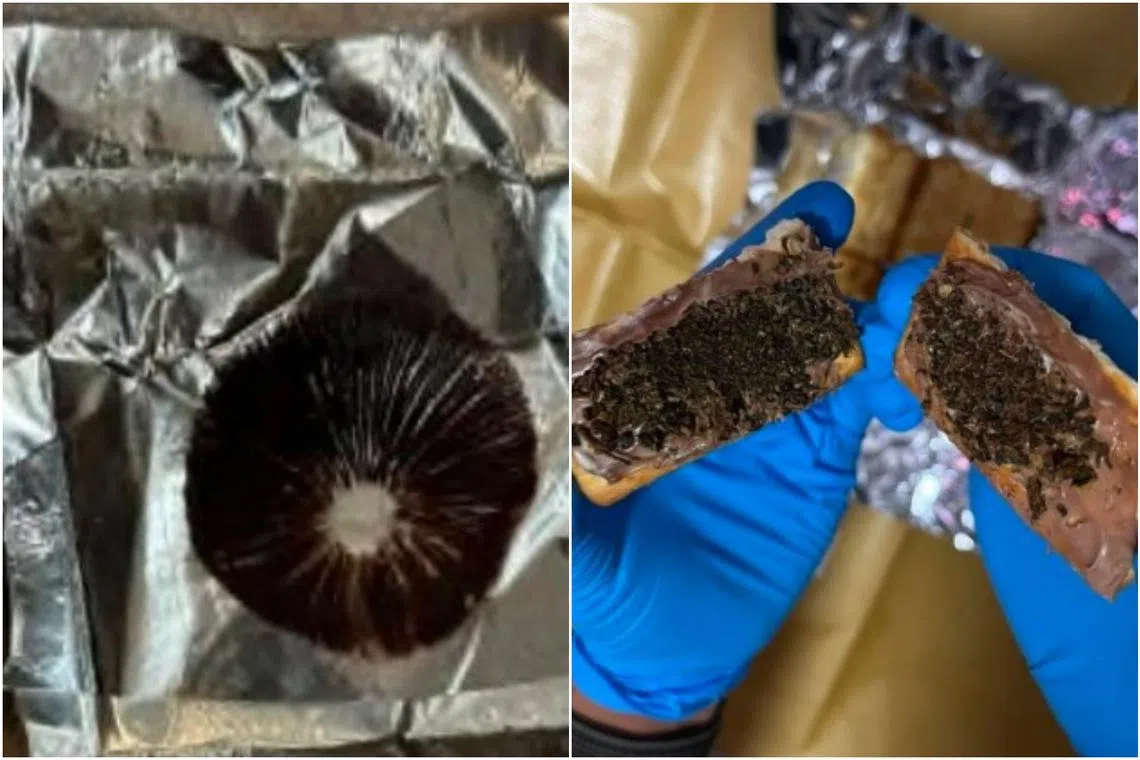 Controlled drugs, including psilocybin mushrooms and in the form of cannabis edibles, seized in an island-wide drug operation.