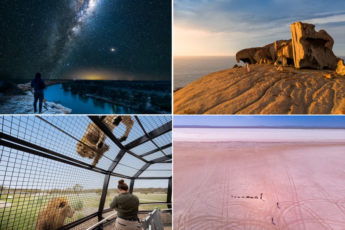 South Australia’s must-see attractions, including (clockwise from left) star-filled skies at River Murray Dark Sky Reserve, the Remarkable Rock’s sculptural formations, the pink water of Lake Bumbunga and lion encounters at Monarto Safari Park, are waiting to be explored at an unhurried pace, away from the tourist crowds.