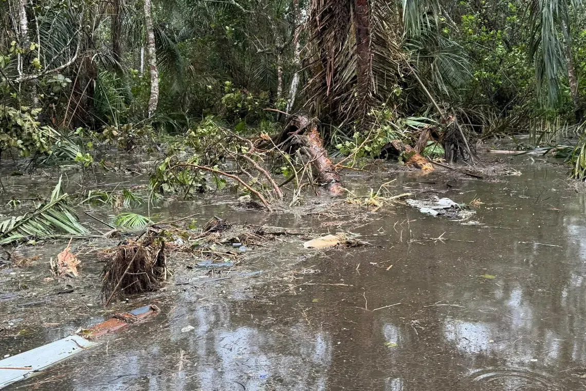 Wreckage of a Nigerian military helicopter lies scattered across the swampy Igbokoda forest in Ondo State, Nigeria.