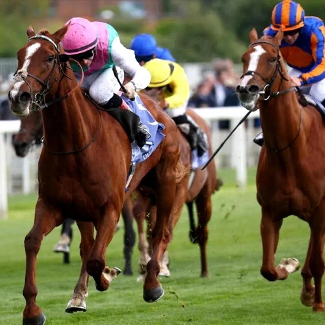 The Andrew Balding-trained Item (Colin Keane) defeating fellow Epsom Derby contender Action (Wayne Lordan) in the Group 2 Dante Stakes (2,000m) at York on May 14.

