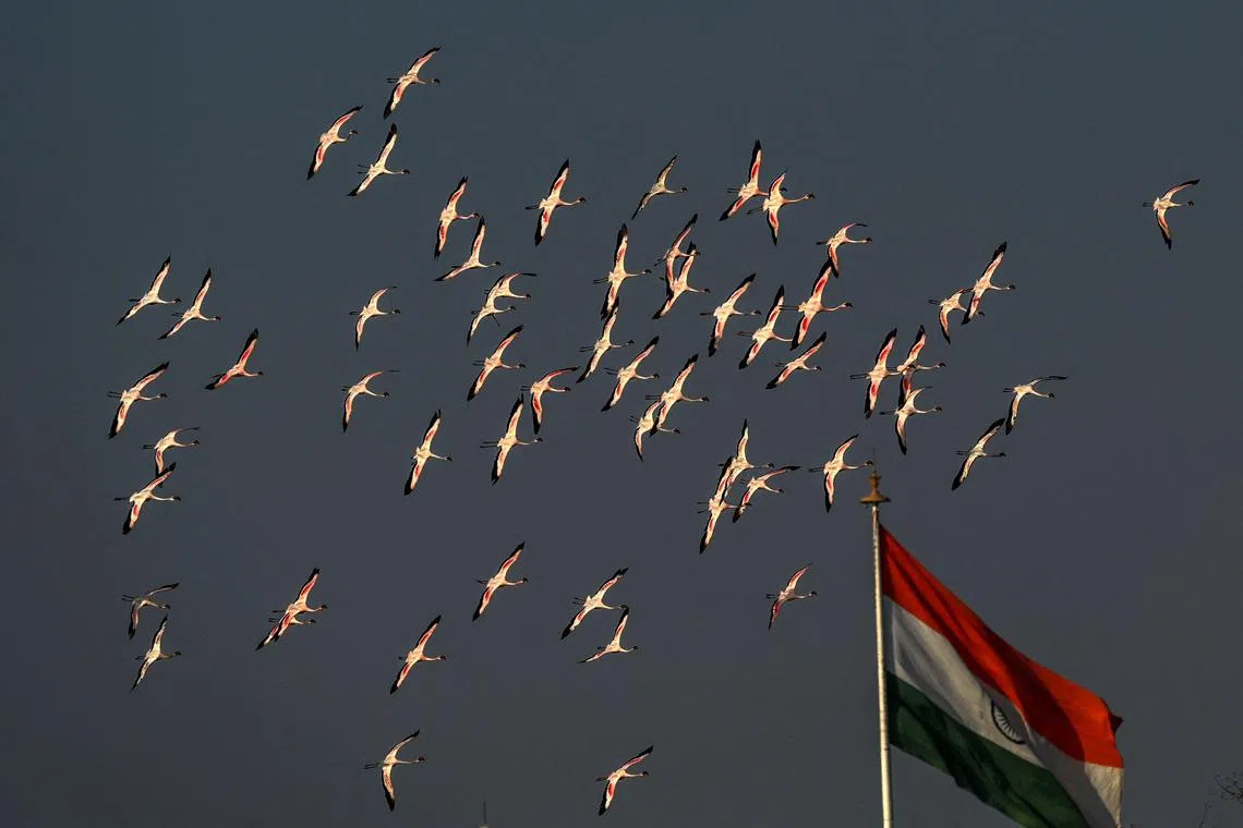 Freedom of expression cannot be used for “legitimising violence”, India said.