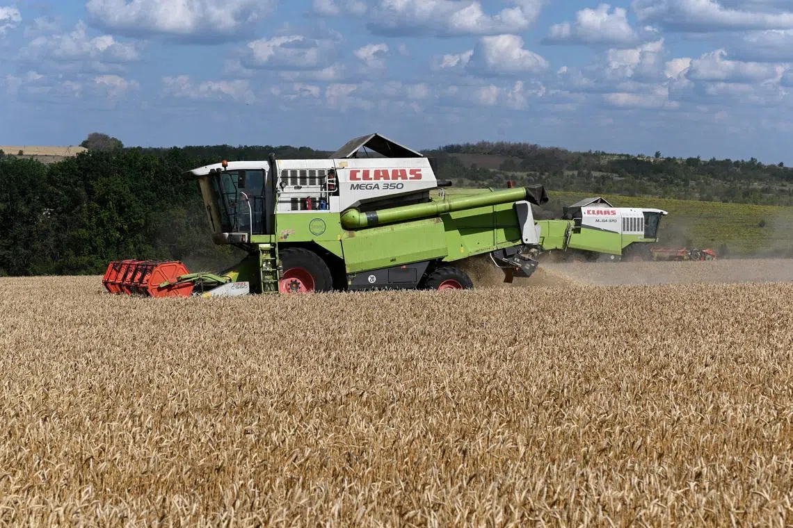 Сombines harvest wheat in a field in the Chertkovsky district of the Rostov region, Russia, July 25, 2025. REUTERS/Sergey Pivovarov
