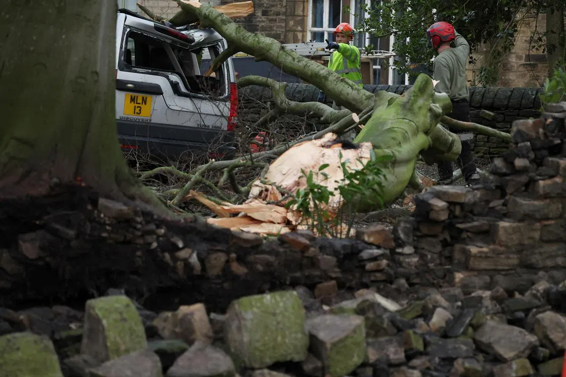 Workers remove a tree that fell onto a car in Stalybridge, Britain, after Storm Gerrit hit the country.