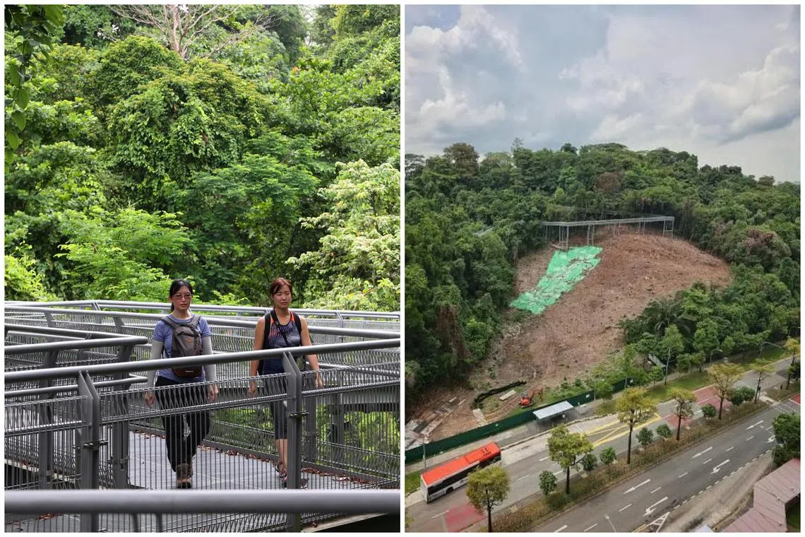 The affected parts of the trails closed for public safety and slope repairs include the eastern section of the Forest Walk and the Earth Trail.