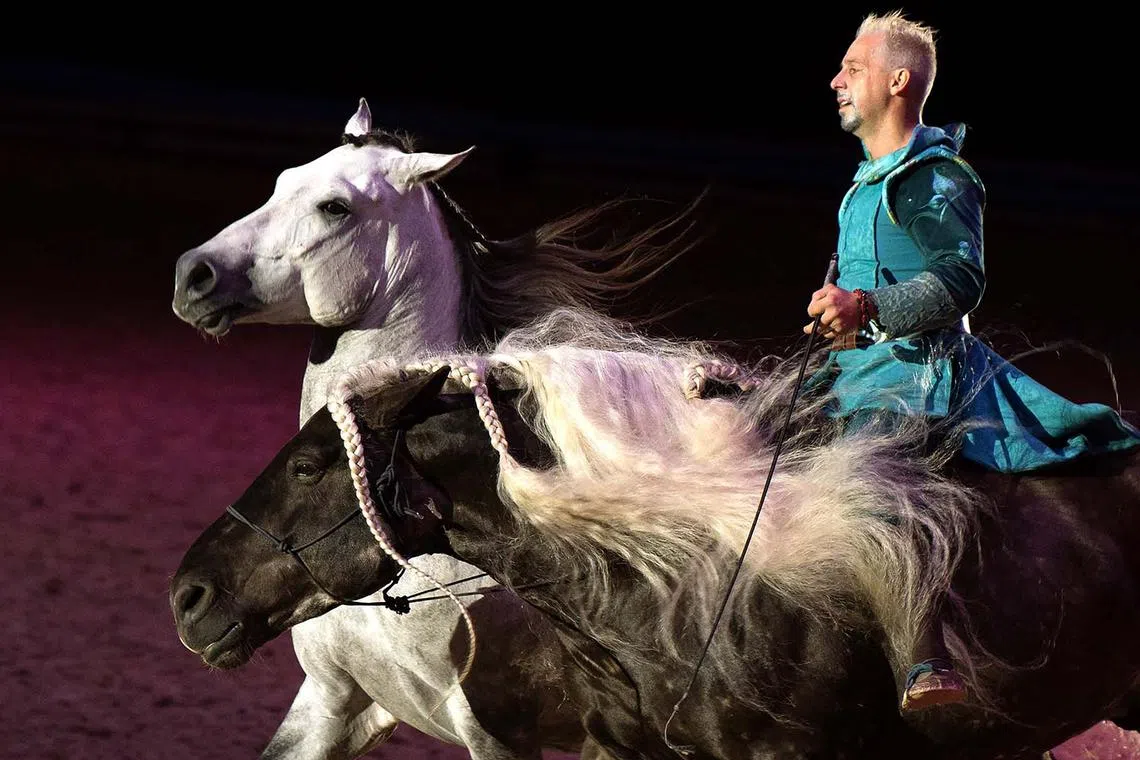 TOPSHOT - An artist performs with horses during the inauguration of the Sicab 2024 International Horse Show in Sevilla, on November 19, 2024. From November 19 to 24, the Seville Congress and Exhibition Centre, FIBES, will host the International Horse Show, SICAB 2024, home of the Spanish World Horse Championship. This year marks the 34th edition of the largest equestrian event around the Purebred Spanish horse in the world. (Photo by CRISTINA QUICLER / AFP)
