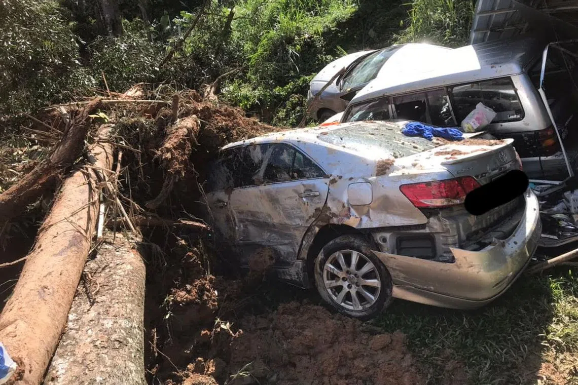 The landslide occurred at Father's Organic Farm, a campsite in Batang Kali in Selangor. 