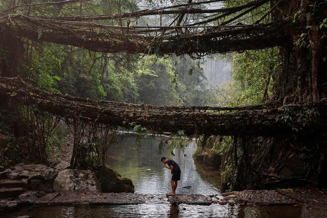 A security personnel, deployed on election duty, brushing his teeth under a double-decker root bridge after reaching Nongriat village, a remote polling station, ahead of the first phase of the election, in Shillong in the northeastern state of Meghalaya, India, April 18, 2024. 