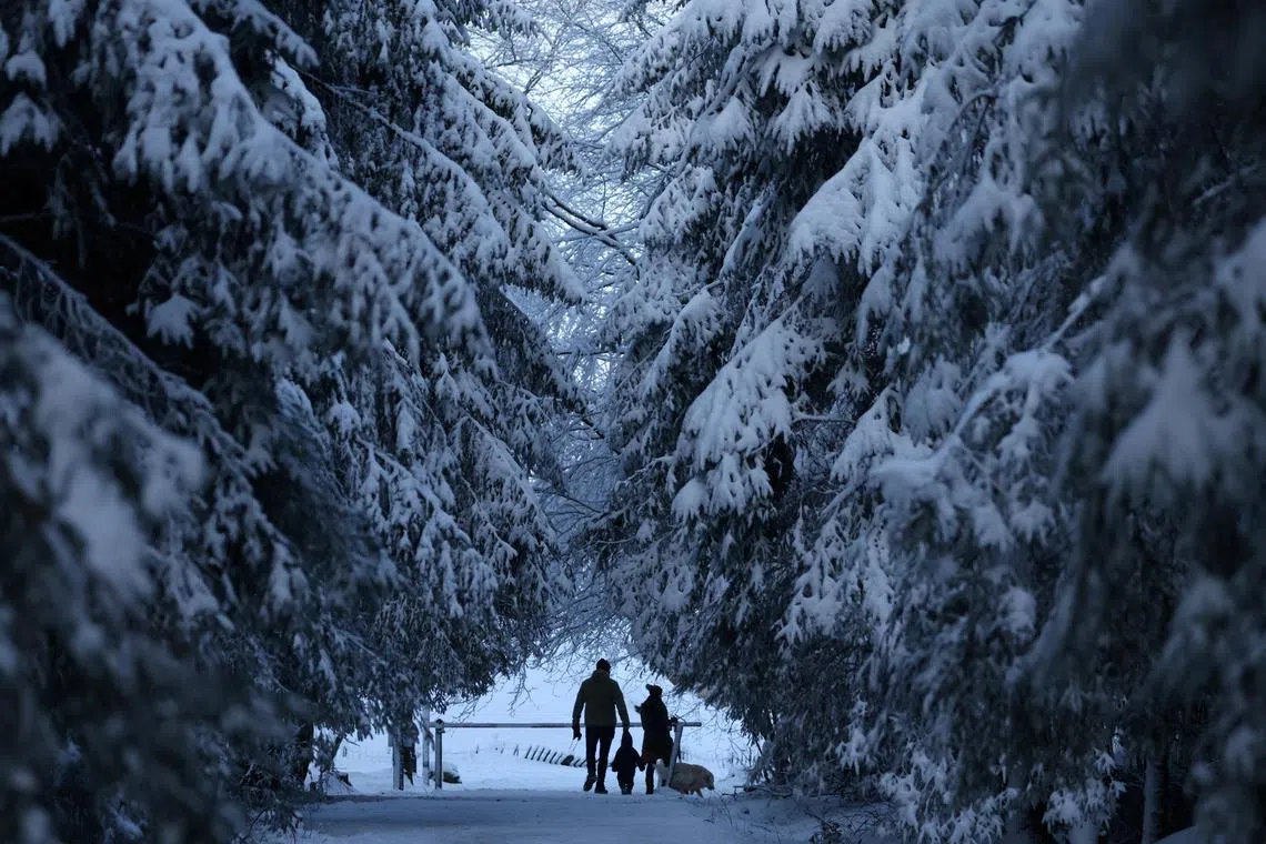 People walk among trees covered in snow, at the Signal de Botrange in the nature reserve of Les Hautes Fagnes (The High Fens), in Waimes, Belgium January 17, 2023.    