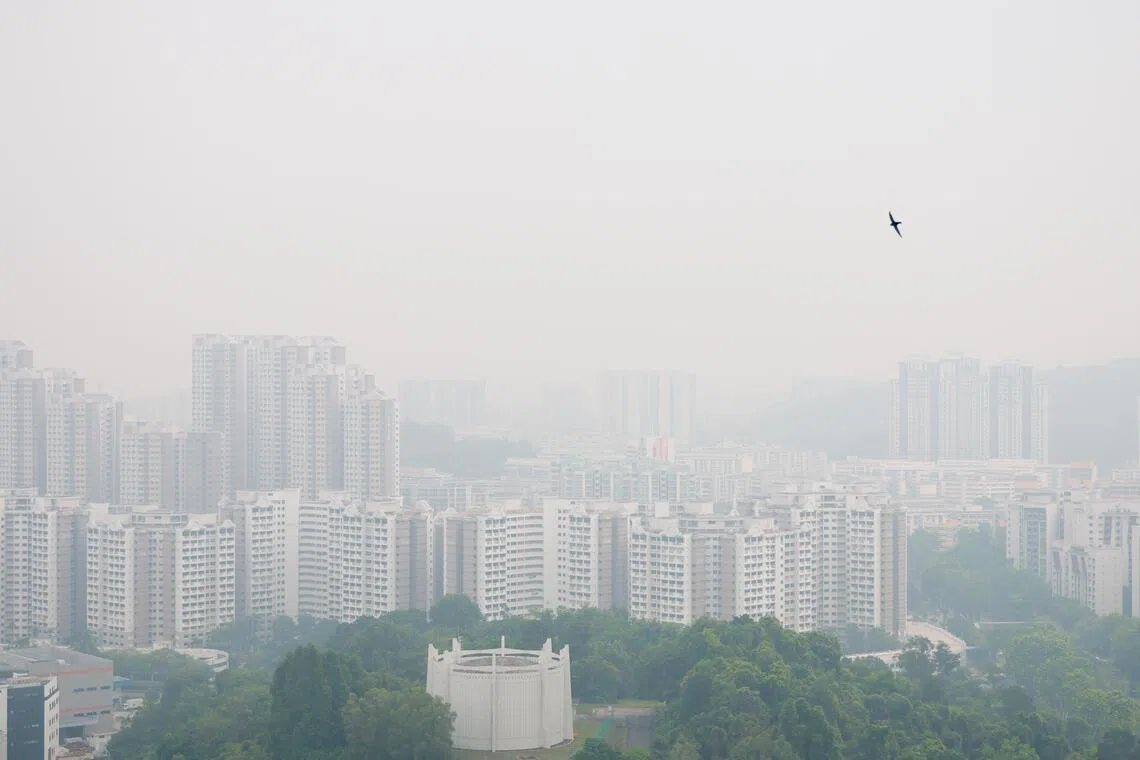 The Straits Times talks to experts on what can bring reprieve from the haze.