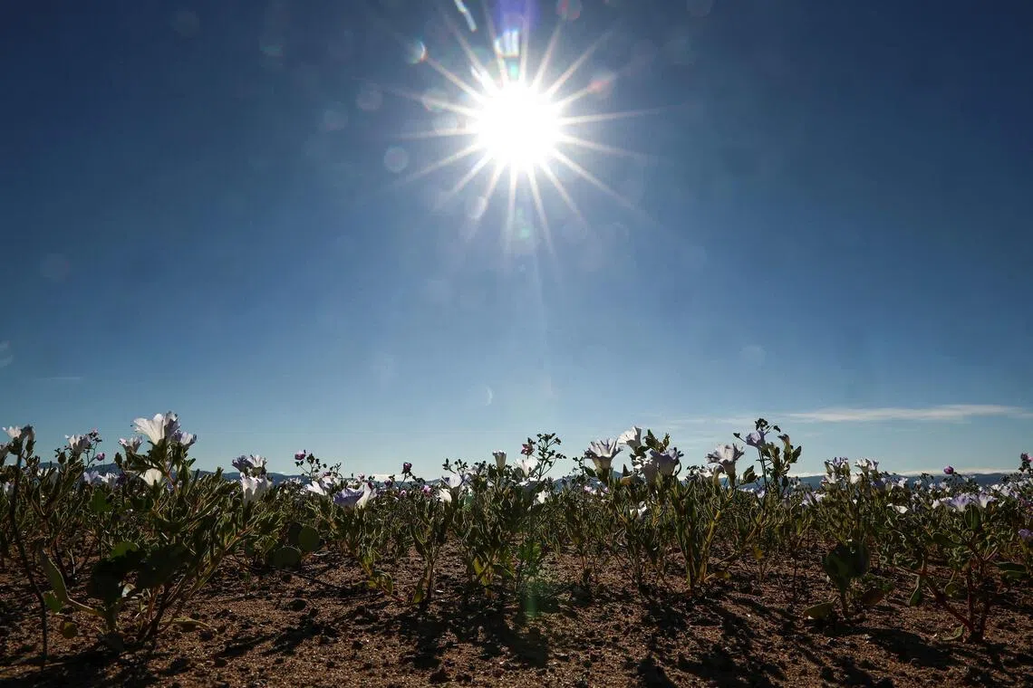 Scientists have been surprised by how quickly changes are unfolding in nature.