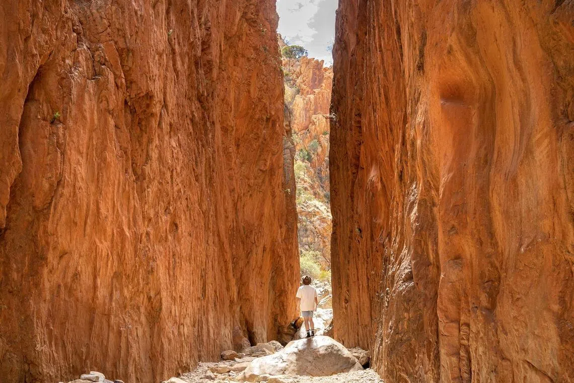 Standley Chasm is one of the highlights of Australia’s Red Centre.