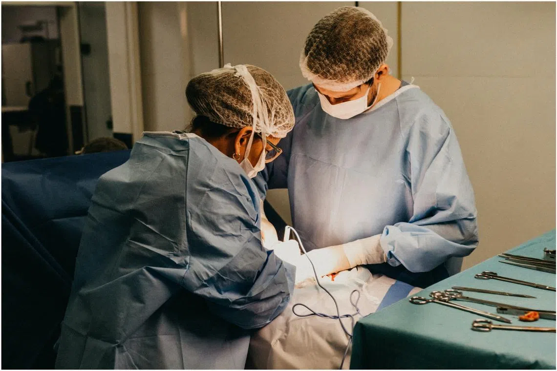 The current transplant medicine regimen does not work well over time to protect donor organs from immune attack and destruction.