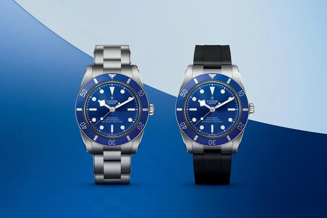Tudor Black Bay 54 “Blue” in riveted steel bracelet and black rubber strap.