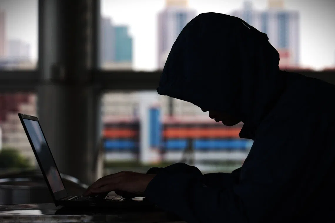 Victims of South Korean romance scams are "fattened up" with affection and initial profits before they are “butchered" with loss.