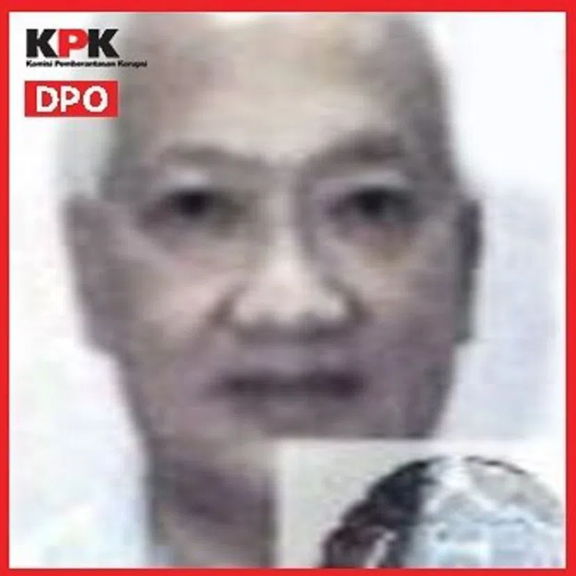 Paulus Tannos had sought redress in the form of bail pending the conclusion of the extradition proceedings, disclosure of documents pertaining to the arrest warrant, and recourse to Indonesian expert evidence.