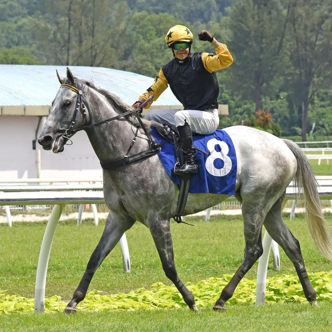 Newly minted Malaysian champion jockey Andre da Silva is pleased as punch as he returns to scale aboard his first 2026 winner, Latin Legend after winning the Klang Valley Metropolitan Stakes (Supreme B - 1,500m) at Sungai Besi on Jan 11.
