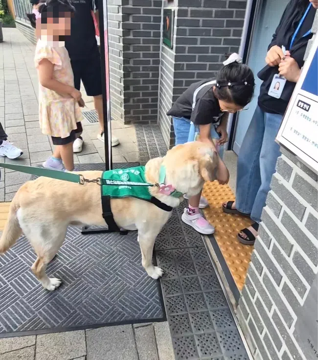 A girl petting ChamE after a reading session.