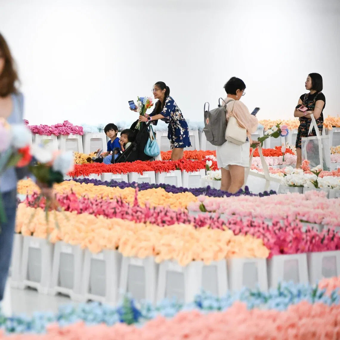 The installation, held at the IMBA Theatre, features plush renditions of more than 30 varieties of flowers designed by Australia Hendry.
