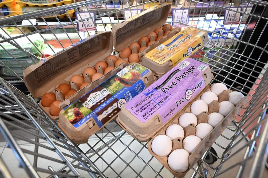 US eggs return to Singapore: Will customers shell out up to $14.80 for a dozen?