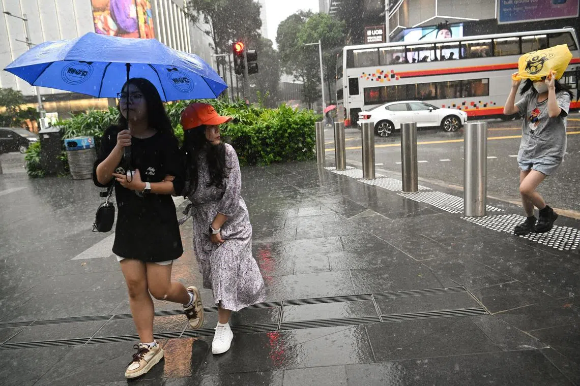 People walking under the rain towards Takashimaya along Orchard Road on Jan 25, 2023.

(ST PHOTO: LIM YAOHUI)
