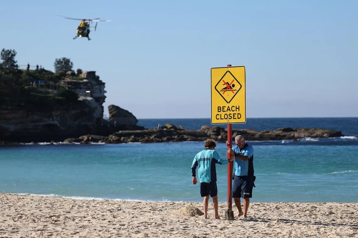 Some Sydney beaches closed after woman injured in shark attack