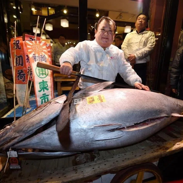 Mr Kiyoshi Kimura, president of Kiyomura, which operates sushi chain Sushizanmai, with the 243kg bluefin tuna in Tokyo, on Jan 5, 2026.