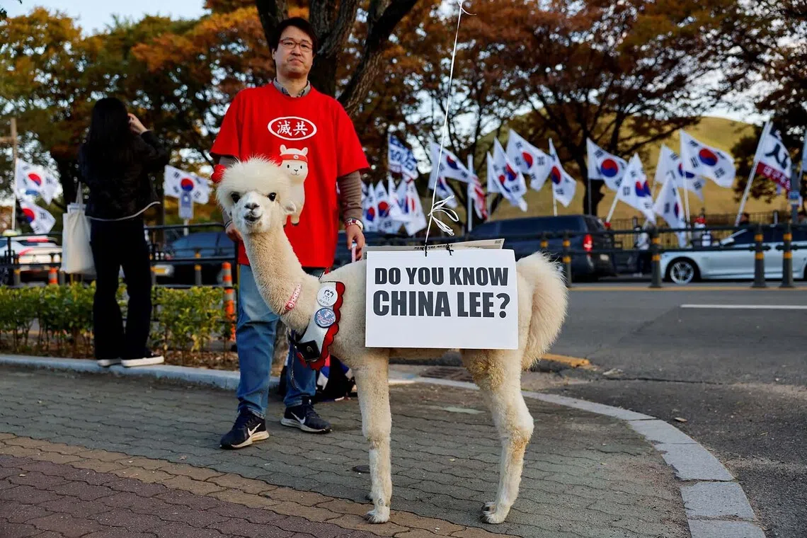 A far-right-wing protester standing with an alpaca as he takes part in an anti-China rally, on the day of the Asia-Pacific Economic Cooperation leaders' summit in Gyeongju, South Korea, Oct 29, 2025. 
